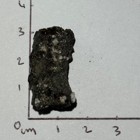 Fulgurite Racine Noire Joshua