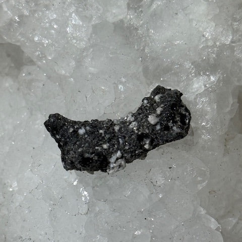 Fulgurite Racine Noire Joshua