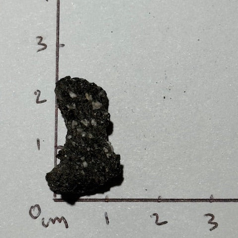 Fulgurite Racine Noire Joshua