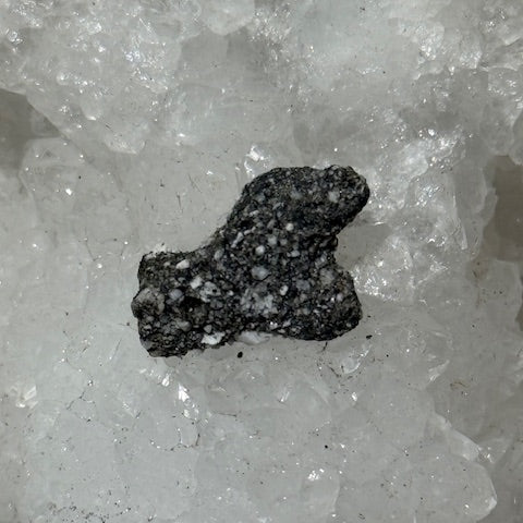 Fulgurite Racine Noire Joshua