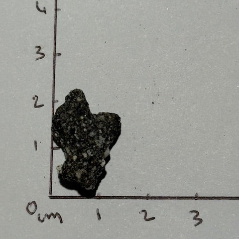 Fulgurite Racine Noire Joshua