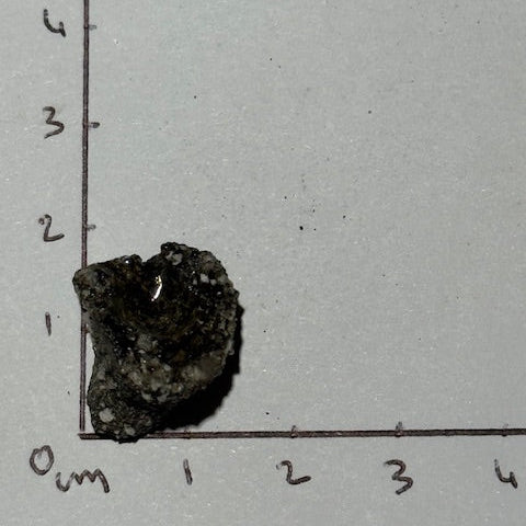 Fulgurite Racine Noire Joshua