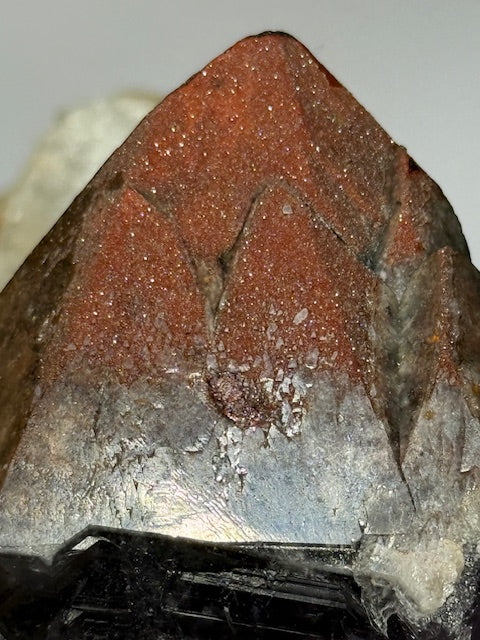 Auralite 23