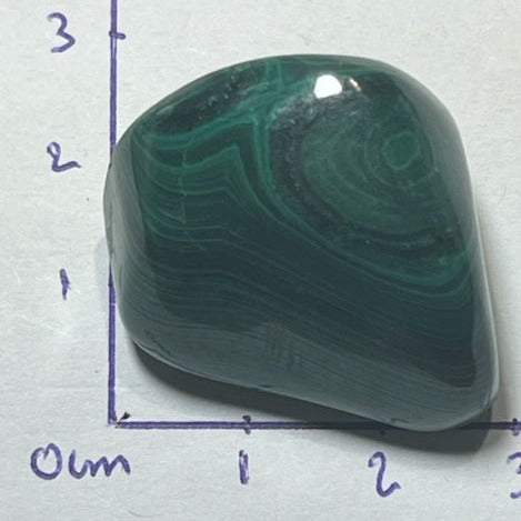 Malachite oasis de cristal