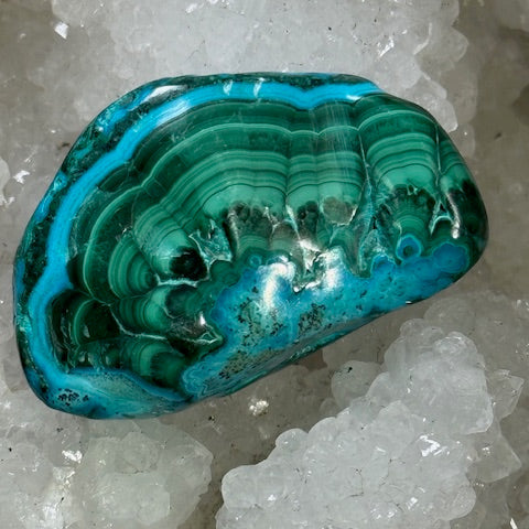 MALACOLLA (Chrysocolle & Malachite)