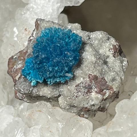 Cavansite Oasis de Cristal