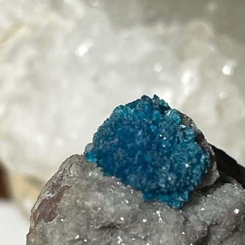 Cavansite Oasis de Cristal