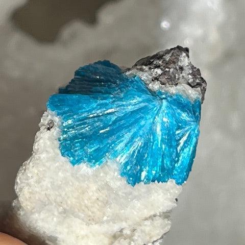 Cavansite Oasis de Cristal