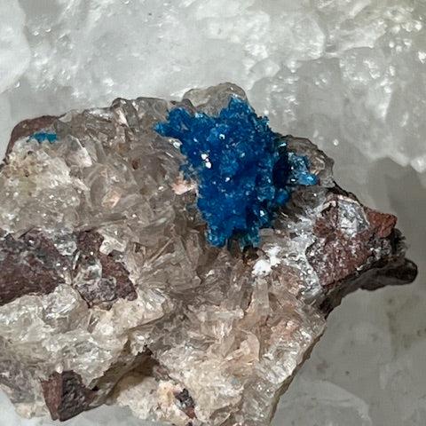 Cavansite Oasis de Cristal