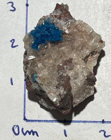 Cavansite Oasis de Cristal