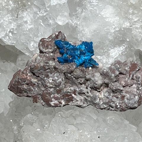 Cavansite Oasis de Cristal