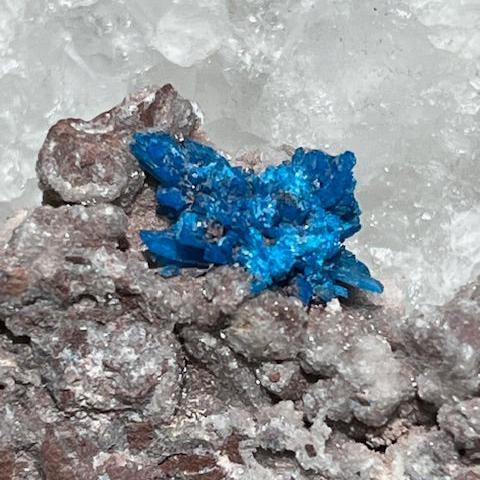 Cavansite Oasis de Cristal