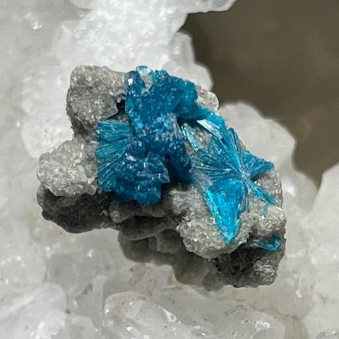 Cavansite Oasis de Cristal