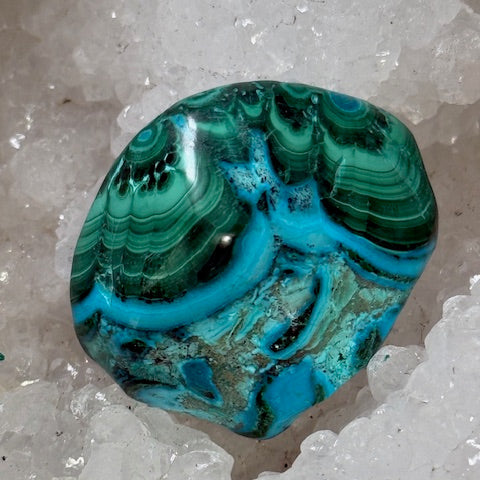 MALACOLLA (Chrysocolle & Malachite)