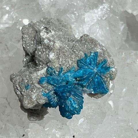 Cavansite Oasis de Cristal