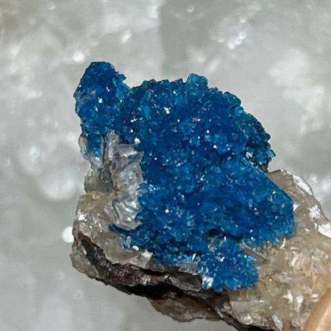 Cavansite Oasis de Cristal