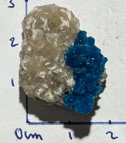 Cavansite Oasis de Cristal