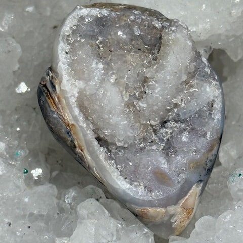 Coquillage cristallisé Spiralite