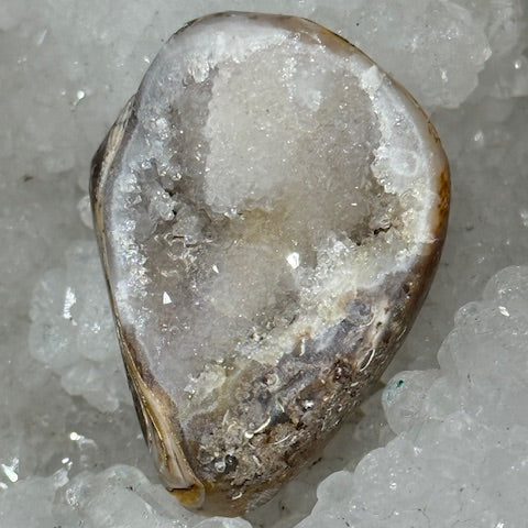 Coquillage cristallisé Spiralite