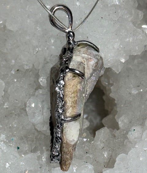 Coquillage cristallisé Spiralite