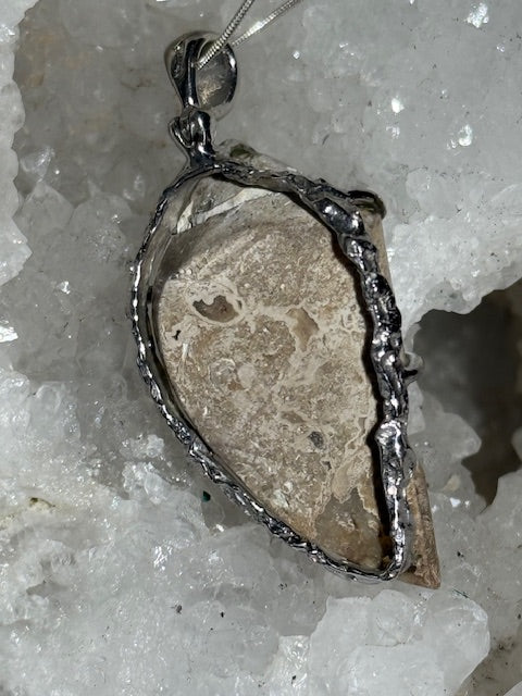 Spiralite Crystallized Seashell Pendant (Silver Setting)