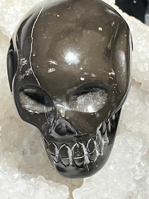 Shamanite Skull