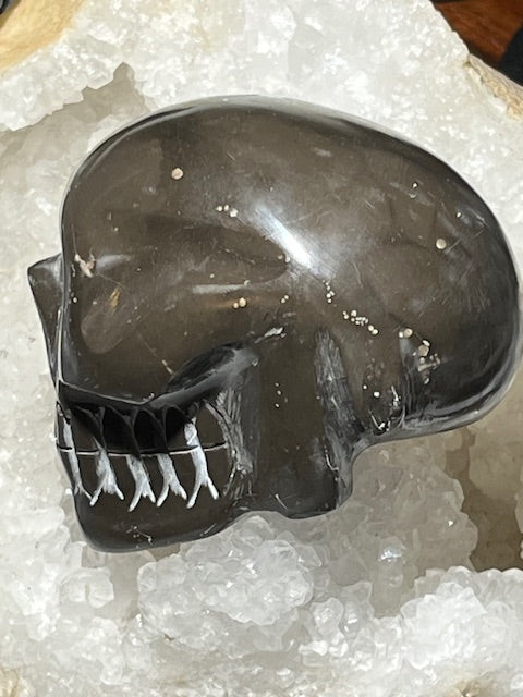 Shamanite Skull