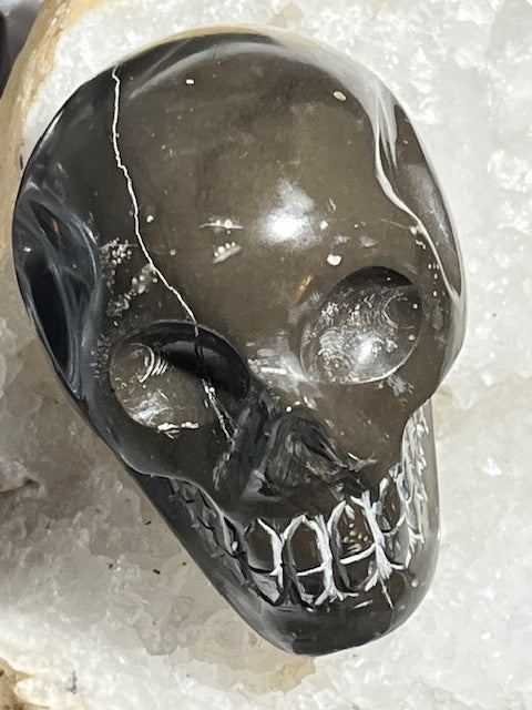 Shamanite Skull