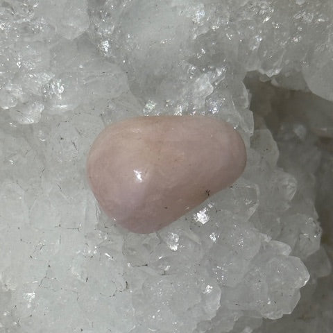 Morganite oasis de cristal