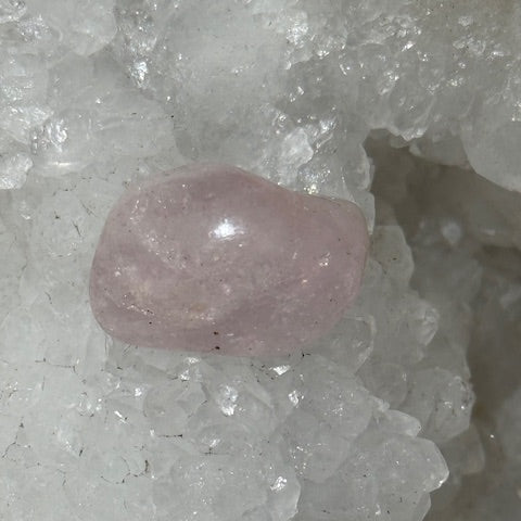 Morganite oasis de cristal