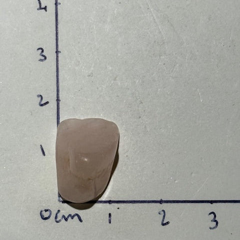 Morganite oasis de cristal