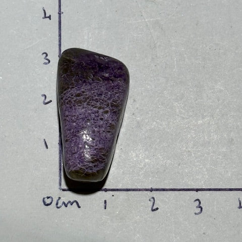 Stichtite avec Serpentine oasis de cristal