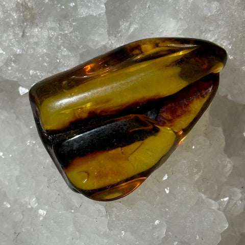 Ambre Baltique oasis de cristal