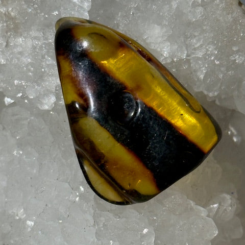 Ambre Baltique oasis de cristal