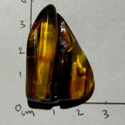 Ambre Baltique oasis de cristal