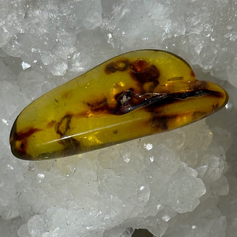 Ambre Baltique oasis de cristal