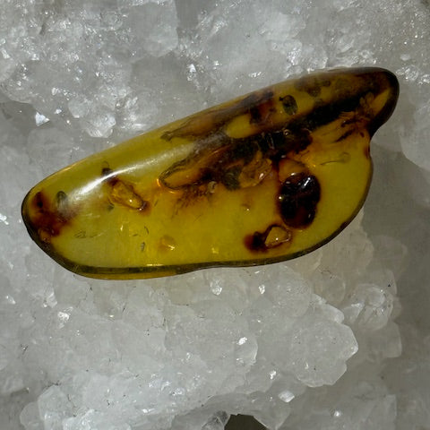 Baltic Amber