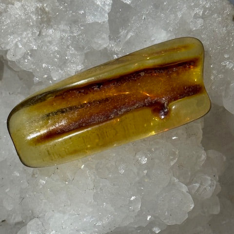 Ambre Baltique oasis de cristal