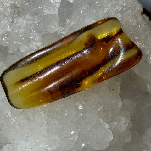 Ambre Baltique oasis de cristal