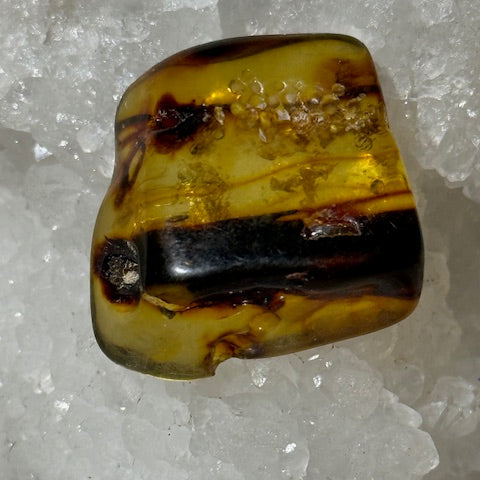 Ambre Baltique oasis de cristal