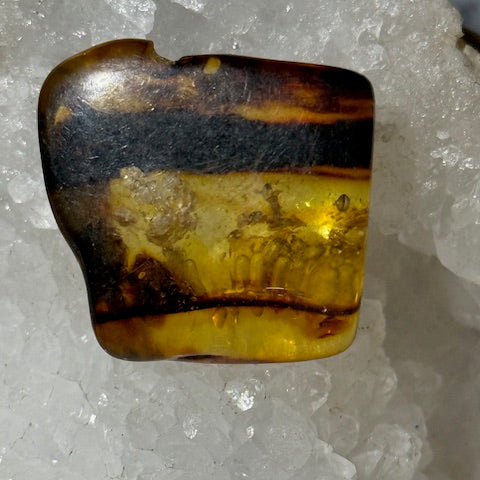 Ambre Baltique oasis de cristal