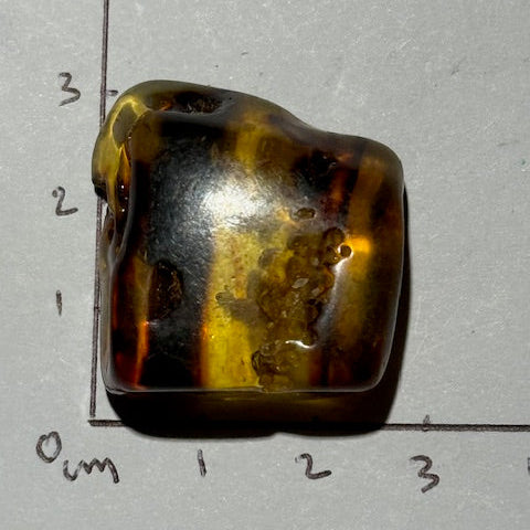 Ambre Baltique oasis de cristal