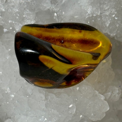 Ambre Baltique oasis de cristal