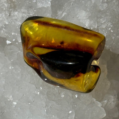 Ambre Baltique oasis de cristal