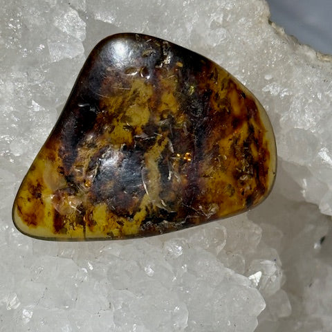 Ambre Baltique oasis de cristal