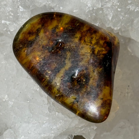 Ambre Baltique oasis de cristal