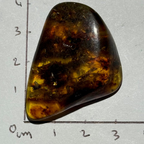 Ambre Baltique oasis de cristal