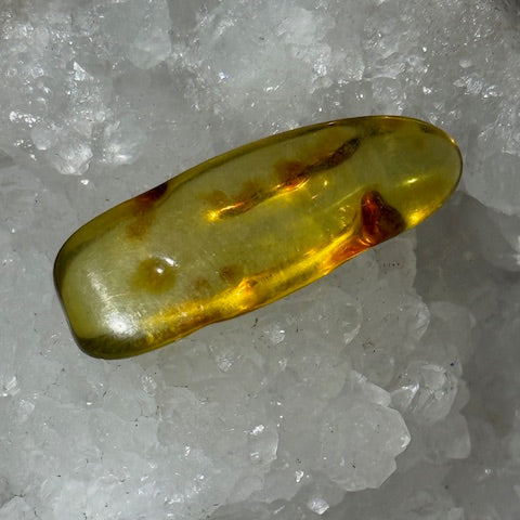 Ambre Baltique oasis de cristal