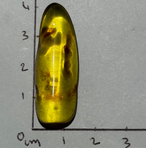 Ambre Baltique oasis de cristal