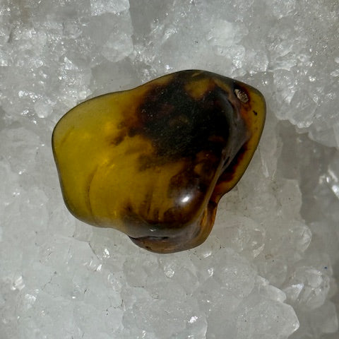 Ambre Baltique oasis de cristal